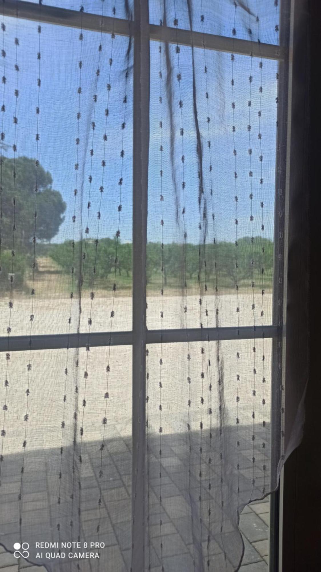 Agriturismo L' Annunziata Lizzano  Chambre photo